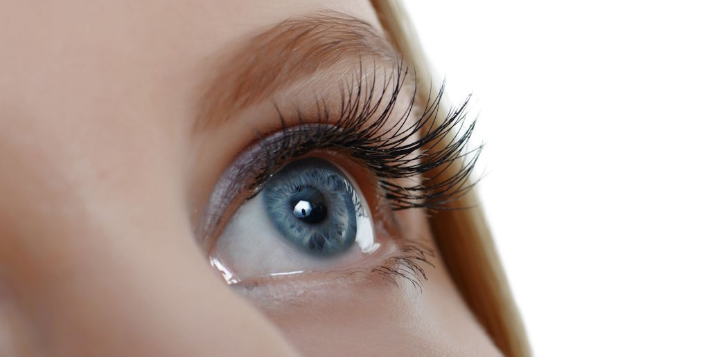 nourish and strengthen the lashes,